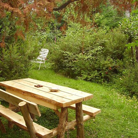 Hosteria Brisas Del Cerro فيلا لا أنجوستورا المظهر الخارجي الصورة